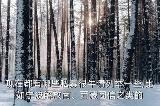 現(xiàn)在都有哪些私募很牛請列舉一些,比如寧波解放南、西藏同信之類的