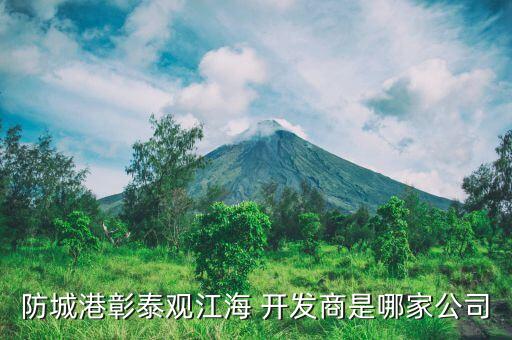 成都金牛正惠房地產開發(fā)有限公司