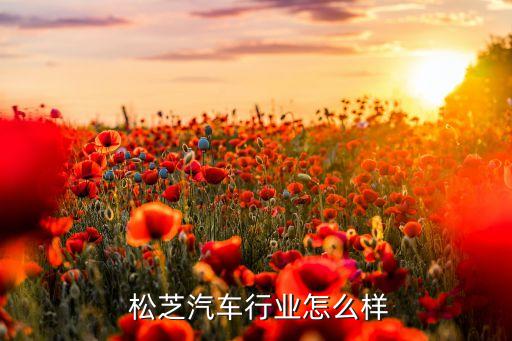 松芝軌道車(chē)輛空調(diào)公司,軌道車(chē)輛空調(diào)常用的壓縮機(jī)種類(lèi)