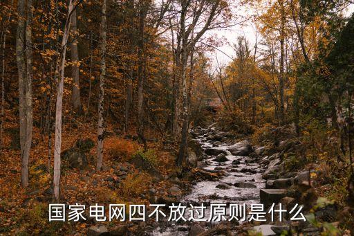 國家電網四不放過原則是什么