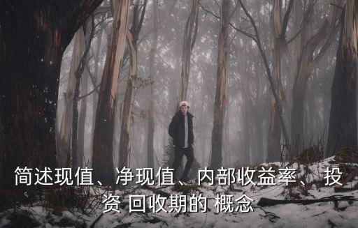 簡(jiǎn)述現(xiàn)值、凈現(xiàn)值、內(nèi)部收益率、 投資 回收期的 概念