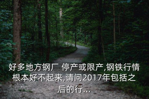 好多地方鋼廠(chǎng) 停產(chǎn)或限產(chǎn),鋼鐵行情根本好不起來(lái),請(qǐng)問(wèn)2017年包括之后的行...
