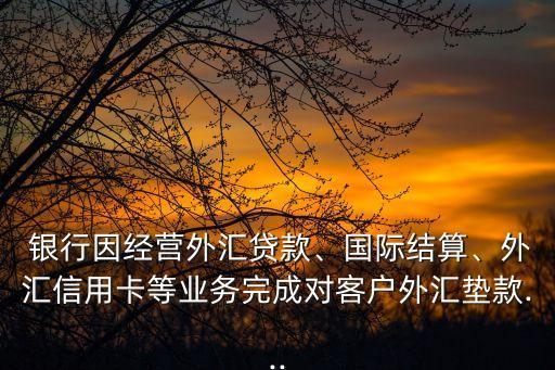  銀行因經(jīng)營外匯貸款、國際結(jié)算、外匯信用卡等業(yè)務(wù)完成對(duì)客戶外匯墊款...