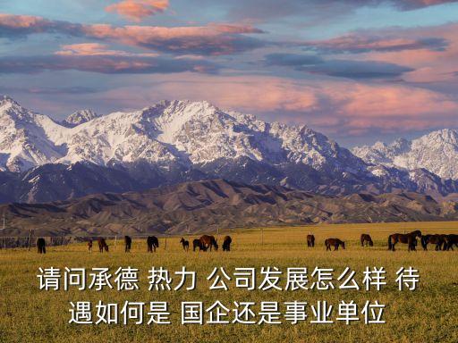 請(qǐng)問承德 熱力 公司發(fā)展怎么樣 待遇如何是 國(guó)企還是事業(yè)單位