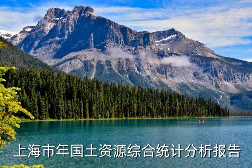  上海市年國土資源綜合統計分析報告