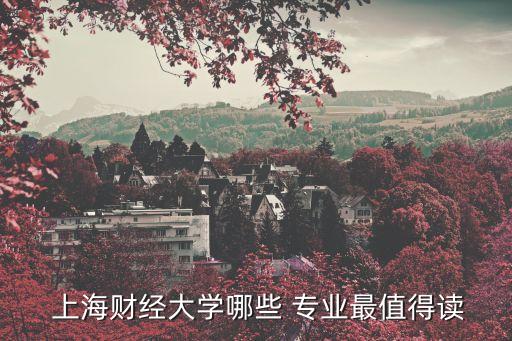  上海財經大學哪些 專業(yè)最值得讀