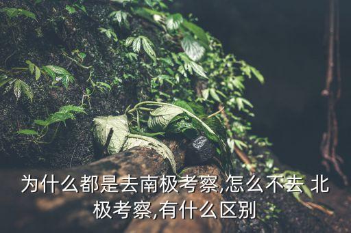 中國(guó)北歐北極研究中心,復(fù)旦大學(xué)北歐研究中心