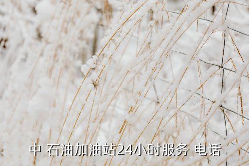 中石油公司市場部電話,移動(dòng)公司市場部電話