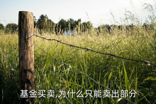  基金買(mǎi)賣(mài),為什么只能賣(mài)出部分