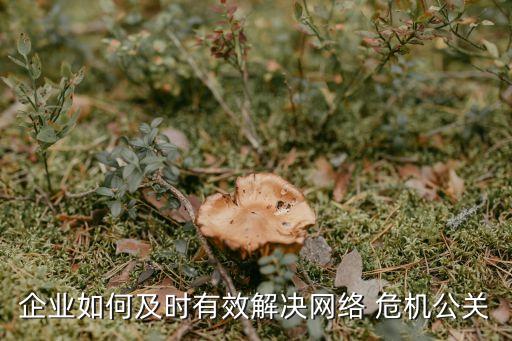企業(yè)如何及時有效解決網(wǎng)絡(luò) 危機(jī)公關(guān)