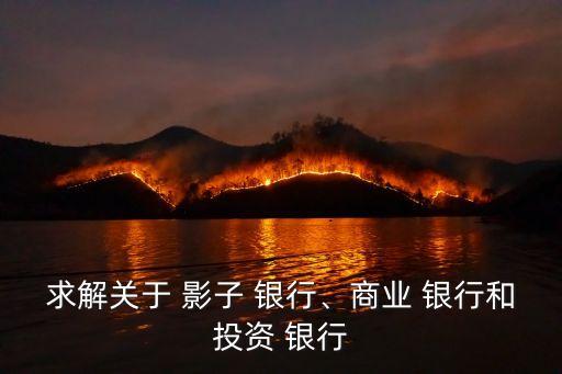 求解關(guān)于 影子 銀行、商業(yè) 銀行和投資 銀行