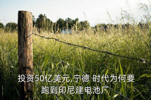  投資50億美元,寧德 時(shí)代為何要跑到印尼建電池廠(chǎng)