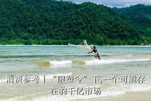 消費(fèi)參考丨“限塑令”下,一個可能存在的千億市場