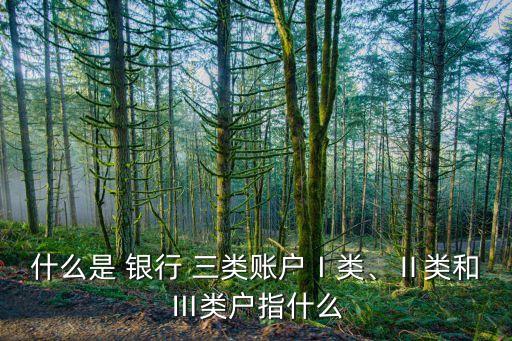 什么是 銀行 三類賬戶Ⅰ類、Ⅱ類和Ⅲ類戶指什么