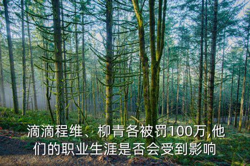  滴滴程維、柳青各被罰100萬,他們的職業(yè)生涯是否會受到影響