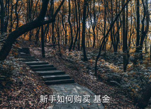 新手如何購(gòu)買(mǎi) 基金