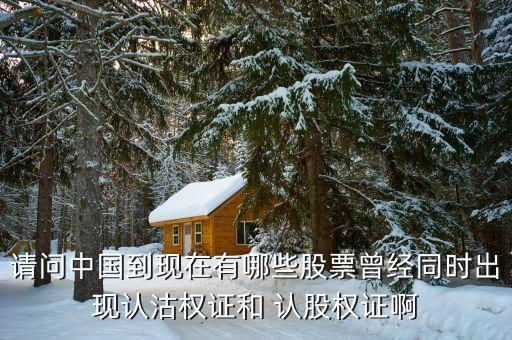 請(qǐng)問(wèn)中國(guó)到現(xiàn)在有哪些股票曾經(jīng)同時(shí)出現(xiàn)認(rèn)沽權(quán)證和 認(rèn)股權(quán)證啊