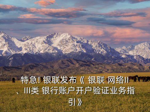 特急! 銀聯(lián)發(fā)布《 銀聯(lián) 網(wǎng)絡(luò)II、III類 銀行賬戶開戶驗(yàn)證業(yè)務(wù)指引》