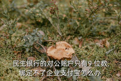  民生銀行的對公賬戶只有9 位數,綁定不了企業(yè)支付寶怎么辦