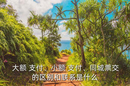  大額 支付、小額 支付、同城票交的區(qū)別和聯(lián)系是什么