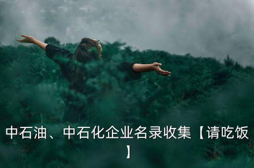 中石油、中石化企業(yè)名錄收集【請吃飯】