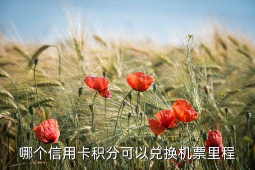 哪個信用卡積分可以兌換機(jī)票里程