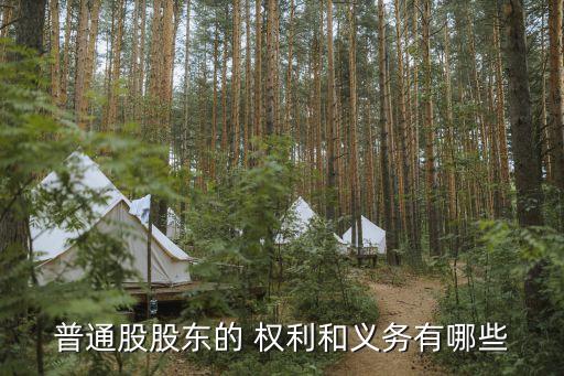 普通股股東的 權(quán)利和義務有哪些