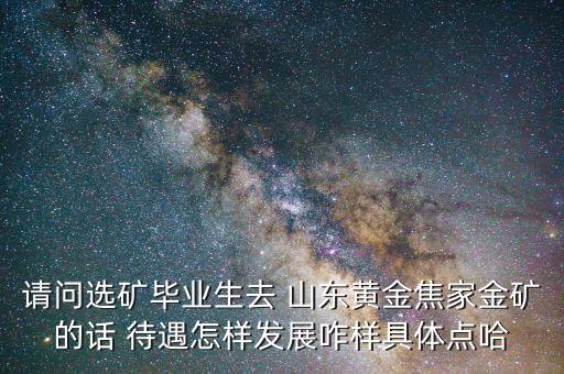 山東黃金地質礦產勘查有限公司待遇