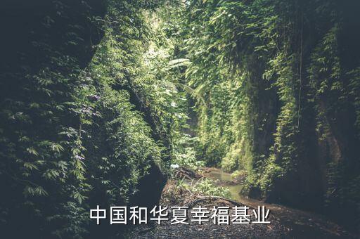 融創(chuàng)中國和華夏幸?；鶚I(yè)