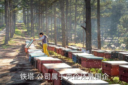  鐵塔 公司屬于央企還是國(guó)企