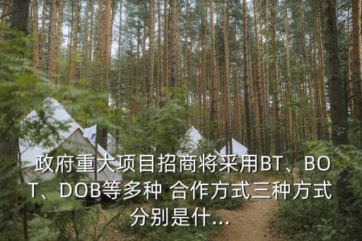  政府重大項(xiàng)目招商將采用BT、BOT、DOB等多種 合作方式三種方式分別是什...
