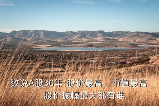 數(shù)說A股30年:股價最高、市值最高、股價振幅最大都有誰