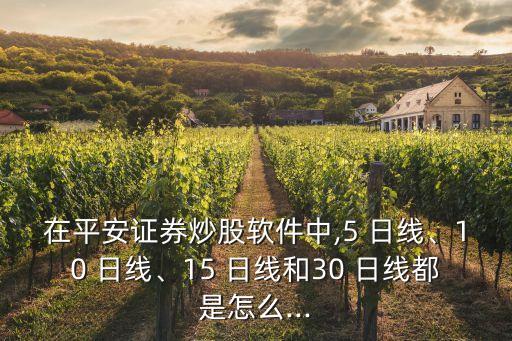 在平安證券炒股軟件中,5 日線、10 日線、15 日線和30 日線都是怎么...