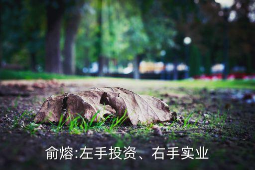 俞熔:左手投資、右手實業(yè)