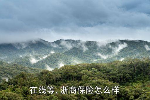 在線(xiàn)等, 浙商保險(xiǎn)怎么樣
