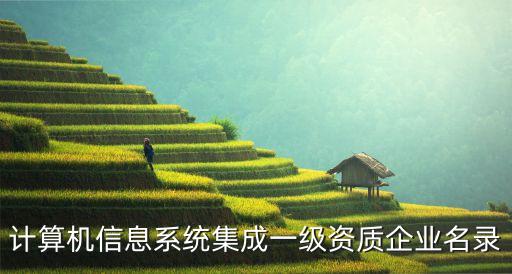 計算機信息系統(tǒng)集成一級資質企業(yè)名錄