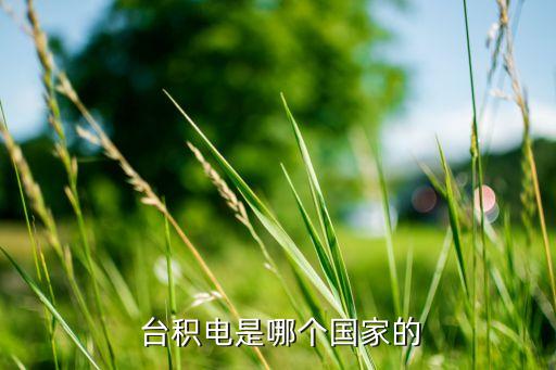  臺積電是哪個(gè)國家的