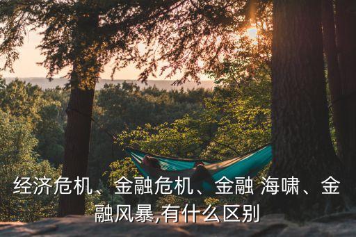 經(jīng)濟危機、金融危機、金融 海嘯、金融風暴,有什么區(qū)別