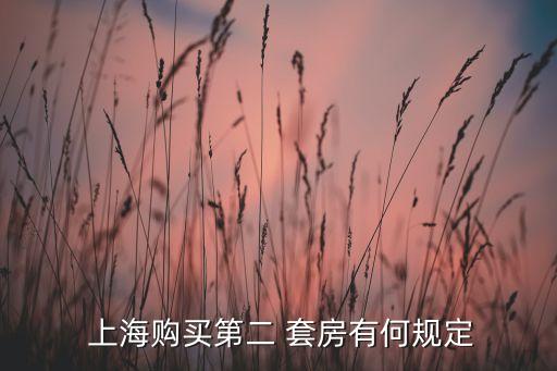  上海購(gòu)買(mǎi)第二 套房有何規(guī)定
