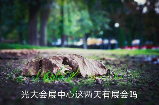 中國上海國際婚紗攝影器材展覽會,上?；榧啍z影器材展2023時間