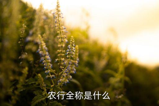 農行全稱是什么