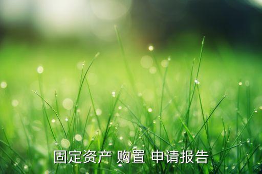 固定資產(chǎn) 購置 申請(qǐng)報(bào)告