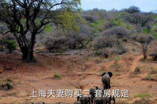  上海夫妻購(gòu)買(mǎi)二 套房規(guī)定