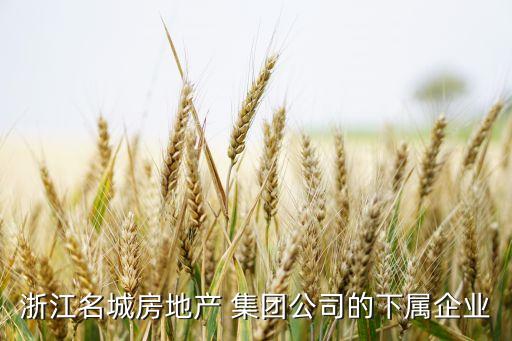 浙江名城房地產 集團公司的下屬企業(yè)
