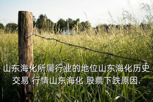 山東?；鶎傩袠I(yè)的地位山東海化歷史交易 行情山東?；?股票下跌原因...
