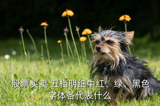  股票買賣 五檔明細中紅、綠、黑色字體各代表什么