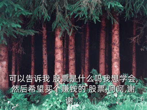 可以告訴我 股票是什么嗎我想學(xué)會(huì),然后希望買(mǎi)個(gè)賺錢(qián)的 股票,呵呵,謝謝...