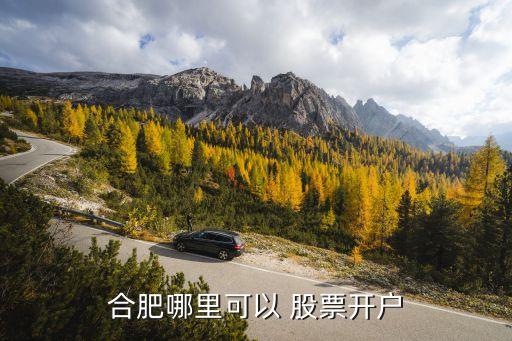 合肥哪里可以 股票開(kāi)戶(hù)