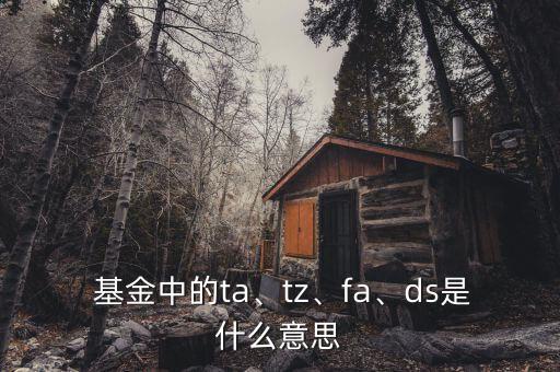  基金中的ta、tz、fa、ds是什么意思