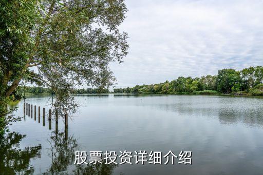 上?？萍脊善背杀?上海本地科技股票一覽表